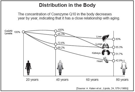 Distribution in the body image
