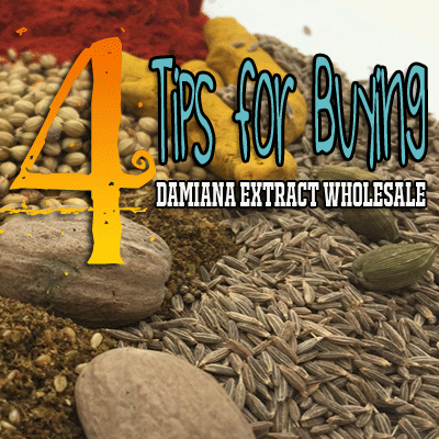 4-tips-for-buying-damiana-extract-wholesale image