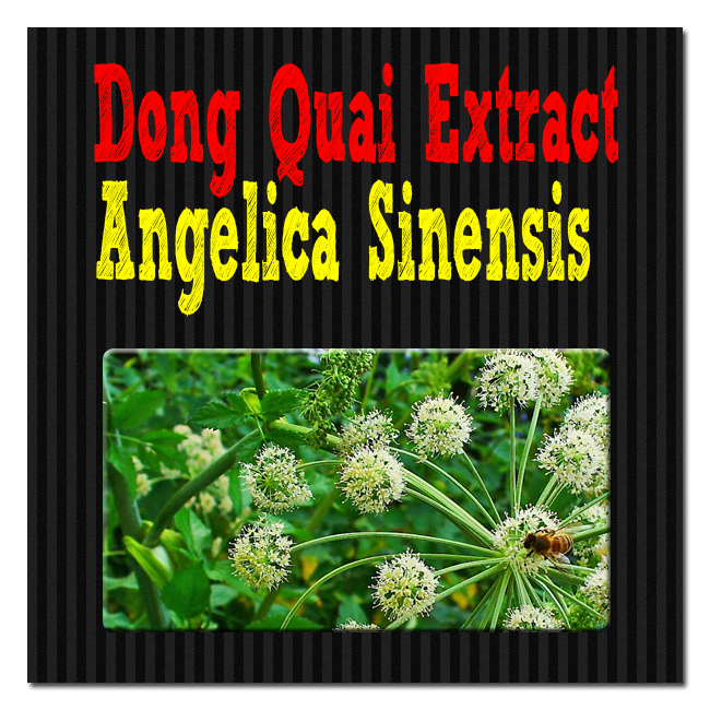 Dong-Quai-Extract-Angelica-Sinensis image