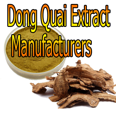 Dong-Quai-Extract-Manufacturers image