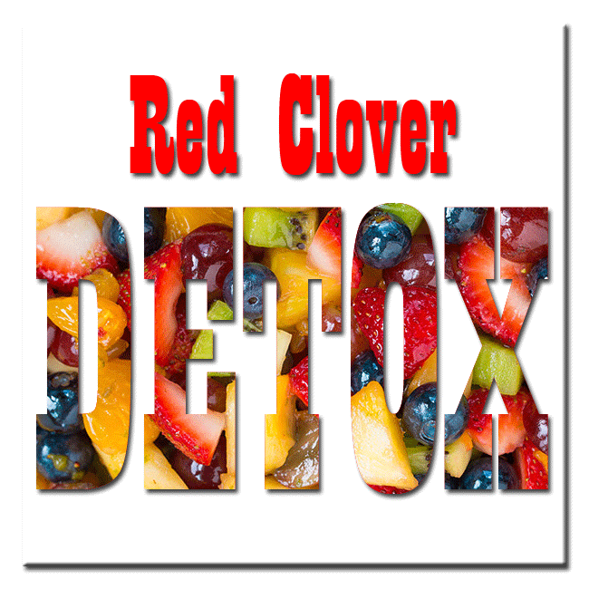 Red-Clover-Detox image